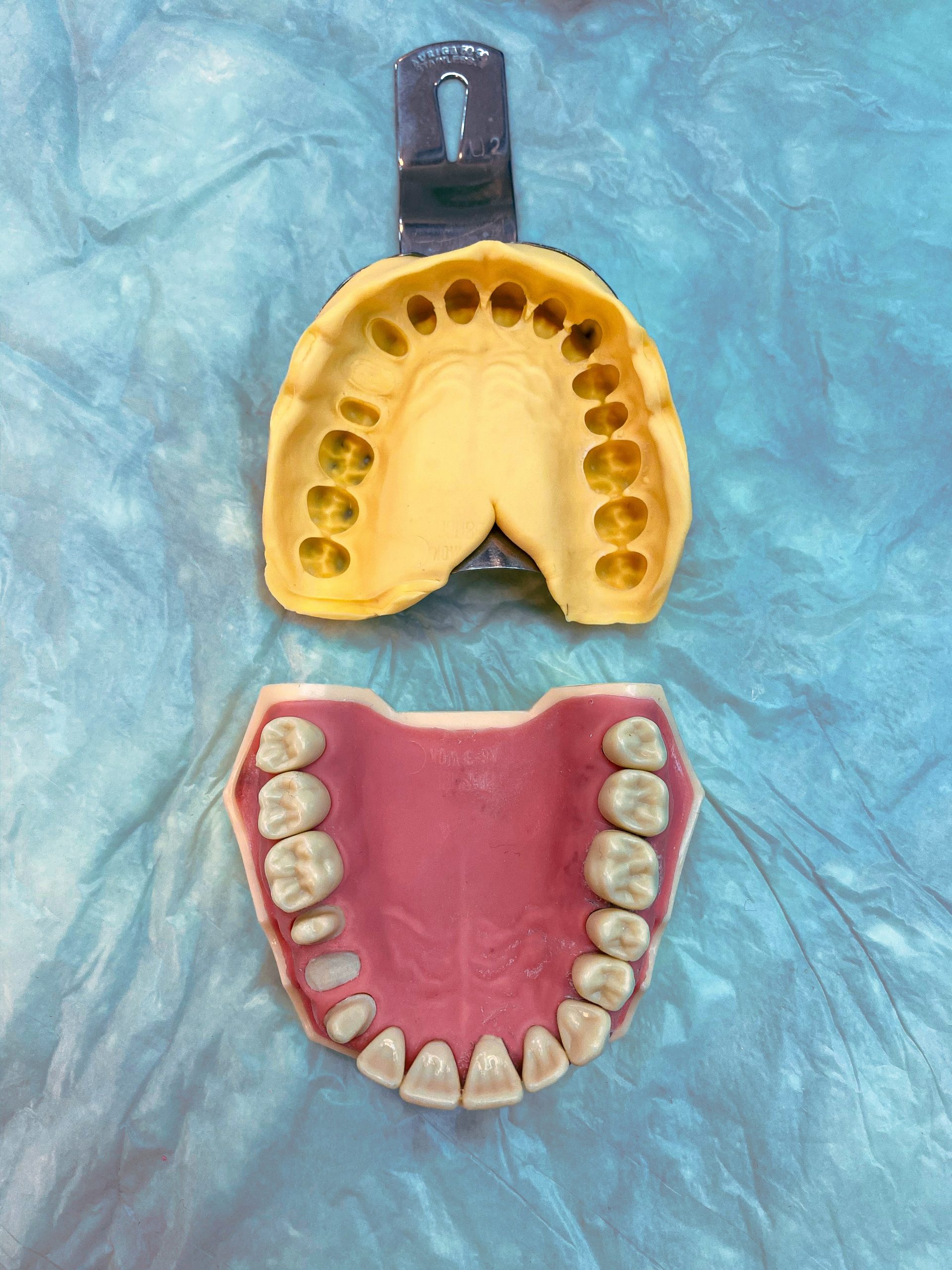 Moldes de dientes superiores e inferiores