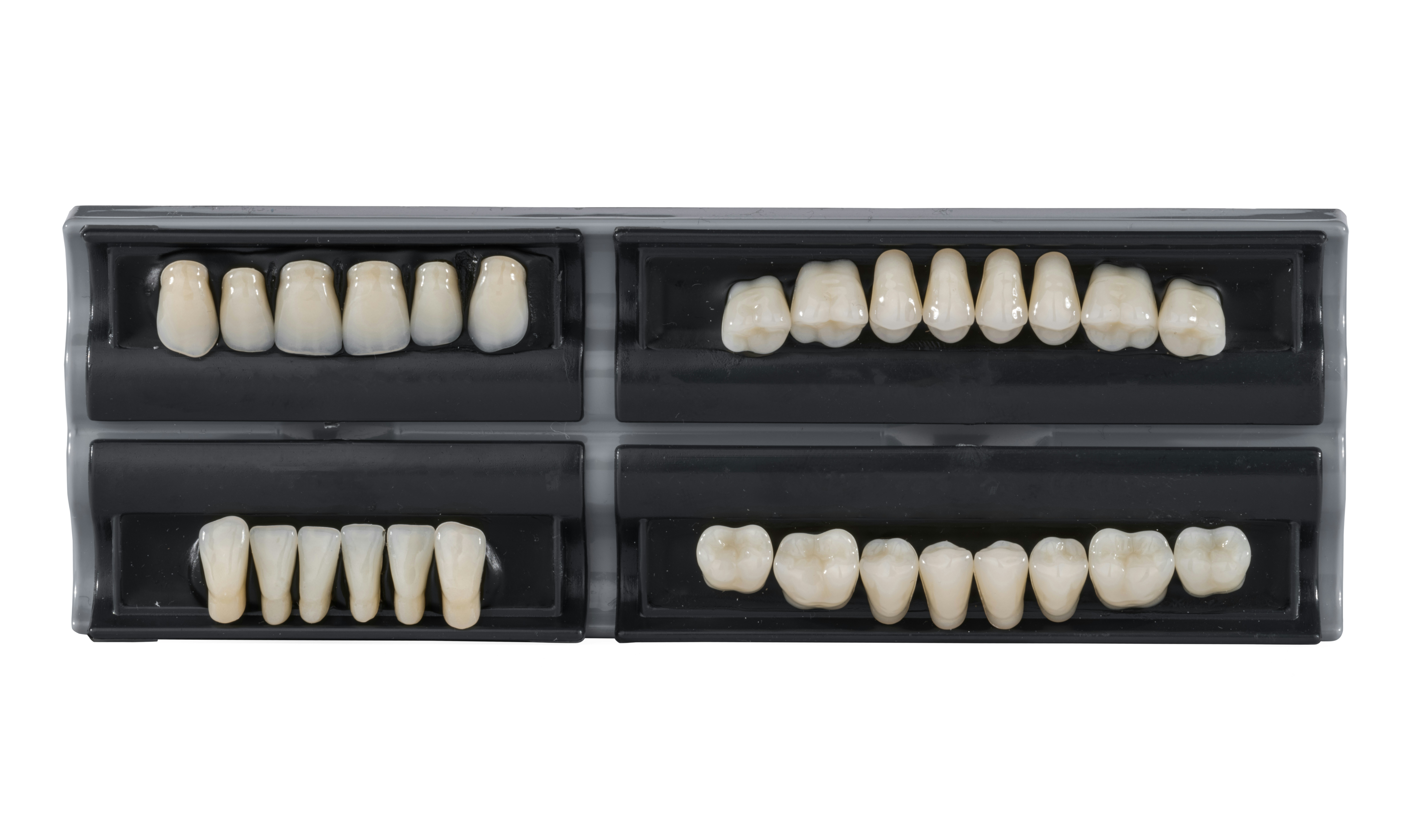 Dientes artificiales en estuches